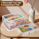 Gifhomfix 24QT Large Plastic Craft Organizers and Storage, Clear Art Supply Organizer with Removable Tray and Dividers, Crafting Box Container with Handle for Kids Toy, Sewing, Book, Crayon, Medicine