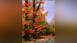Landscape Oil Painting 101 - Paint Autumn Color