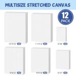 FUMILE Stretched Canvas for Painting, Blank Canvases for Painting Multi 12 Pack 3x5, 5x7, 8x10, 9x12, 11x14, 12x16 (2 of Each), Primed Acid Free Painting Canvas for Beginners & Artists.