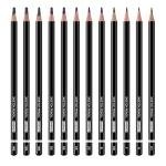 PANDAFLY Professional Drawing Sketching Pencil Set - 12 Pieces Graphite Pencils(14B - 2H), Ideal for Drawing Art, Sketching, Shading, Artist Pencils for Beginners & Pro Artists