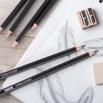 PANDAFLY Professional Drawing Sketching Pencil Set - 12 Pieces Graphite Pencils(14B - 2H), Ideal for Drawing Art, Sketching, Shading, Artist Pencils for Beginners & Pro Artists