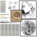 Fhyhej Drawing Sketching Pencil Set 24 Piece Pro Art Pencil Kit - Graphite Pencils (14B-4H), Black and White Charcoal Pencils, Charcoal Sticks, Stumps, Eraser, Sharpeners for Beginners & Pro Artists