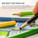 U.S. Art Supply 50 Piece Adult Coloring Book Artist Grade Colored Pencil Set -Vibrant Colors, Smooth Art Drawing, Sketching, Shading, Blending - Fun Activities for Students, Beginners, All Ages