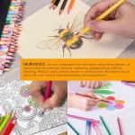 U.S. Art Supply 50 Piece Adult Coloring Book Artist Grade Colored Pencil Set -Vibrant Colors, Smooth Art Drawing, Sketching, Shading, Blending - Fun Activities for Students, Beginners, All Ages