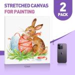 ESRICH Stretched Canvas for Painting 12x12 Inch, 2 Pack Blank Canvas -5/8 in Profile Primed Cotton White Canvases for Painting for Oil & Acrylic Paint