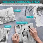CongGongGo 50 Pcs Willow Charcoal Sticks, Willow Charcoal,Mixed Sizes: 4-5mm, 5-7mm,Professional Soft Black Drawing Charcoal for Sketching & Art