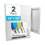 ArtSkills Stretched Canvases for Painting, 12x16 Canvas Painting Supplies for Artists, Blank Canvas Pack, 2-Pack