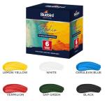 BLUEBIRD Studio Acrylic Paints, Primary Colors, 6-Pack 3.4 Fl Oz each, Basic Acrylic Paint For Halloween Decorations, DIY Crafts & Beginner Artists