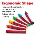 Faber-Castell - Oil Pastels School Pack - Premium Art Supplies For Kids (24 Each of 12 Colors) (288 Count)