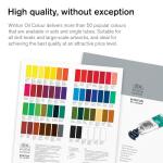 Winsor & Newton Winton Oil Color Paint Set, 10 x 12ml (0.4-oz) Tubes