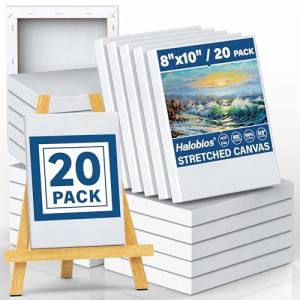 Halobios Blank Canvases - 8x10in Stretched Canvases, 20 Pack, 5/8 Inch Profile, 100% Cotton Artist Framed Canvas for Acrylics, Oils & Other Painting Media