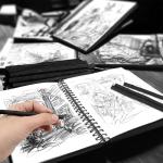 HIKIMA 120Pcs Willow Charcoal Sticks，Black Natural Willow Charcoal for Artists, Drawing Charcoal for Sketching and Sketching and Shading