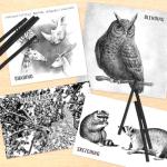 HIKIMA 120Pcs Willow Charcoal Sticks，Black Natural Willow Charcoal for Artists, Drawing Charcoal for Sketching and Sketching and Shading