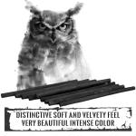 HIKIMA 120Pcs Willow Charcoal Sticks，Black Natural Willow Charcoal for Artists, Drawing Charcoal for Sketching and Sketching and Shading