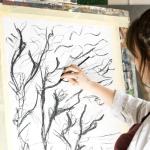 HIKIMA 120Pcs Willow Charcoal Sticks，Black Natural Willow Charcoal for Artists, Drawing Charcoal for Sketching and Sketching and Shading