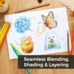 Ohuhu Colored Pencils: 72 Oil-based Drawing Pencils for Coloring Portrait Sketching Landscape, Durable Soft Core, Professional 72 Pack for Artist, Adult & Beginners, Halawa Series