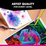 Prismacolor Premier Colored Pencils, Soft Core, Assorted Colors for Dark Paper, Limited Edition, 14 Count - Drawing, Coloring, Creative, Art Supplies, Holiday Gift