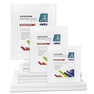 COLORAINN Stretched Canvas – Multi Pack Set of 10 PCs: 4 of 8x10, 3 of 9x12 & 3 of 11x14 Inch - 10 Oz, 5/8" Profile, Premium Primed Canvases for Acrylic, Oil, Watercolor Painting