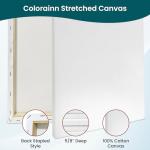 COLORAINN Stretched Canvas – Multi Pack Set of 10 PCs: 4 of 8x10, 3 of 9x12 & 3 of 11x14 Inch - 10 Oz, 5/8" Profile, Premium Primed Canvases for Acrylic, Oil, Watercolor Painting