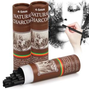 Gueevin 50 Pcs Willow Charcoal Sticks, Willow Charcoal, Artists, Beginners, Students, Perfect for Sketching, Drawing, Shading, and Fine Art Christmas Gifts for Art (4-5mm)