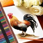 Heshengping 48 Color Colored drawing sketching Pencils Set for Coloring Books Drawing kit Art Supplies with Roll up Canvas Case gift for Adults Beginners familys