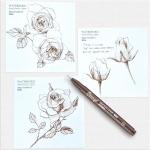 Bianyo Sepia Tone Drawing Pen Set, 12 Assorted Sizes Sketch Liner, Water-Resistant Archival and Pigment Ink Art Pens, Precision Drawing and Sketching Kit