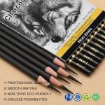 KALOUR Professional Charcoal Pencils Drawing Set -12 Pieces Soft, Medium and Hard Charcoal Pencils for Drawing, Sketching, Shading, Artist Pencils for Beginners & Artists