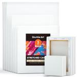 Shuttle Art Stretched Canvas, 15 Multi Pack, 4x4, 5 x 7, 8 x 10, 9x12, 11 x 14 Inches (3 of Each), 100% Cotton, Primed White Painting Canvas, Art Canvases for Acrylic, Oil, Acrylic Pouring Painting