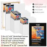 82Pcs Professional Oil Painting Set with Easel Box, 24 Rich Oil Colors & 10 Hog Brushes,Palette Knives, Canvases Complete Art Supplies Kit for Beginners & Artists