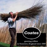 PH Coate Artist Willow Charcoal Assorted Length, 30 Sticks, Black