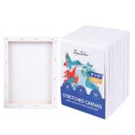 Stretched Canvas for Painting, 5/8 Inch Profile 100% Cotton Artist Framed Blank Canvas for Acrylics,Oils & Other Painting Media (20 Pack 8 * 10 in)