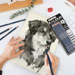 KALOUR PDAS Professional Drawing Pencils for Sketching - 6 pcs Matte Graphite Art Pencil Set (HB to 12B) for Shading, Beginners & Pro Artists