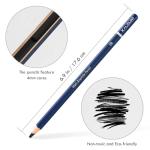 KALOUR PDAS Professional Drawing Pencils for Sketching - 6 pcs Matte Graphite Art Pencil Set (HB to 12B) for Shading, Beginners & Pro Artists