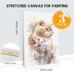 ESRICH Stretched Canvas for Painting 24x36 Inch, 3Pack Large Canvas for Painting, Primed Acid-Free Cotton Blank Canvases, Art Paint Canvases for Oil Paint,Watercolor,Acrylic Paint,Gouache and Tempera.