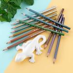 Metallic Color Pencil Set of 12 Colors