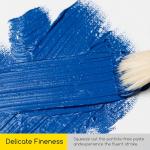 MEEDEN Oil Paint Set - 12 x 22ml (0.74 oz) Color Oil Paints for Adults Students Beginners- Rich Pigment Art Paints for Canvas Painting