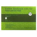 MEEDEN 8.3×12" Cotton Watercolor Paper Block, Textured Surface Watercolor Paper, Cold Press, 140lb/300gsm, 20 Sheets for Watercolor Gouache Ink Acrylic and More
