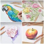 COLOUR BLOCK Colored Pencil Set - 24PC Premium Cedar Handle Drawing Pencils, Vinyl Eraser, Sharpener, Tin Storage Box