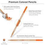 COLOUR BLOCK Colored Pencil Set - 24PC Premium Cedar Handle Drawing Pencils, Vinyl Eraser, Sharpener, Tin Storage Box