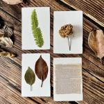 Deckle Edge Watercolor Paper, 100% Cotton, 140 LB, 300 GSM, 4x6”, 30 Sheets Mixed Media Paper for Dry & Wet Technique, Acid Free, tumuarta Blank Cards is Perfect for Greeting Cards & Thank You Notes