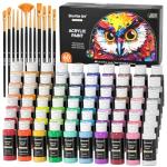 72 Pack Acrylic Paint Set, Shuttle Art 60 Colors Acrylic Paint Including Extra White Black & 12 Brushes, 2oz/60ml, Rich Pigmented, Water Proof, Ideal for Artists, Beginners on Canvas Rock Wood Ceramic