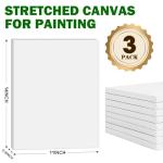 ESRICH Stretched Canvas for Painting 11x14 Inch, 3 Pack Blank Canvas -5/8 in Profile Primed White Canvases for Painting for Oil & Acrylic Paint.