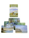 Watercolor Mixing Deck: Landscapes: Quick Reference Color Palettes to Use at Home or on Location