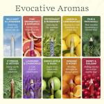 Lifelines Scented Colored Pencils, 10-Pack Classic Palette - Rub & Sniff Color Pencil Set Infused with Essential Oil Blends for Arts & Crafts, Coloring Books & School Supplies