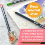 Faber-Castell Goldfaber Colored Pencils: Skin Tone Colored Pencils with Smooth Laydown, Rich Pigment, Break-Resistant Cores, Great for Portraits, Sketching & Adult Coloring (12 Count)