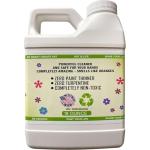 Green Piece® Paint Brush Cleaner and Restorer for Art Paint Brushes - 100% Natural - Non-Toxic - Wet or Dry Paint - No Chemicals - Oil or Acrylic Paints, Wood and Metal - Amazing Power - 18 Oz