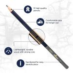 BLUEBIRD Sketch Pencils Set of 12 (2H–8B) – Drawing Pencils for Sketching, Art Supplies for Adults & Teens, Ideal for Drawing Art, Sketching, & Shading