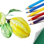 SKKSTATIONERY 50Pcs Colored Pencils,50 Vibrant Colors, Drawing Pencils for Sketch, Arts, Coloring Books, Back to school Christmas Gifts