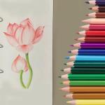 SKKSTATIONERY 50Pcs Colored Pencils,50 Vibrant Colors, Drawing Pencils for Sketch, Arts, Coloring Books, Back to school Christmas Gifts