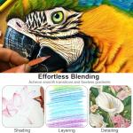 Hureny Colored Pencils for Adult Coloring Books, Set of 72, Oil-Based Core Drawing Pencils, 3.8mm Soft Leads with Adult Coloring Pencils, Professional Art Supplies for Adults, Beginner and Kids